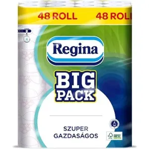 REGINA Big Pack 15,4 m (48 ks)