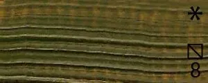 Olejová barva Renesans 20ml – 71 Zeleň listová