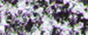 Suchý pastel Renesans – 01 Bílá titanová