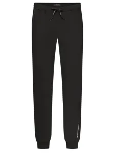 Nadměrná velikost: Replay, Joggingové kalhoty s podílem strečových vláken černá #5434127