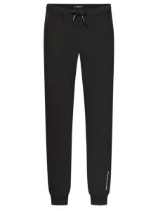 Nadměrná velikost: Replay, Joggingové kalhoty s podílem strečových vláken černá #5434129