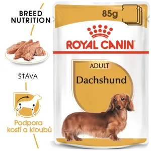 Royal Canin Dachshund Loaf - kapsička s paštikou pro jezevčíka - 12 x 85g