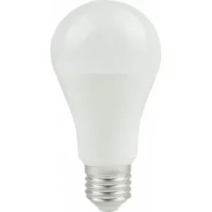 LED žárovka E27-B60-E100-NW S-Lux