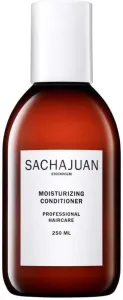Sachajuan Hydratační kondicionér pro suché a zesvětlené vlasy (Moisturizing Conditioner) 250 ml