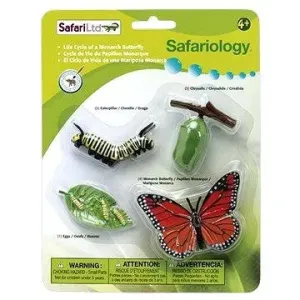Safari Ltd. Životní cyklus - Motýl