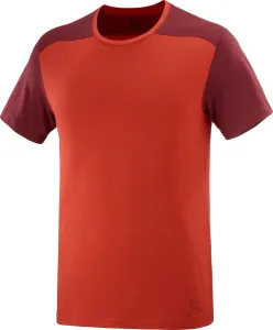 Salomon Essential Colorbloc T-Shirt M S