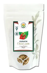 Salvia Paradise Guduchi - Chebule srdčitá dřevo 50 g
