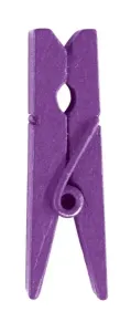Santex Dřevěné kolíčky - jednobarevné 24 ks Barva: Fialová
