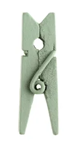 Santex Dřevěné kolíčky - jednobarevné 24 ks Barva: olivová