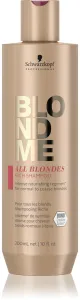 Schwarzkopf Professional Šampon pro normální a silné blond vlasy BLONDME All Blondes (Rich Shampoo) 300 ml