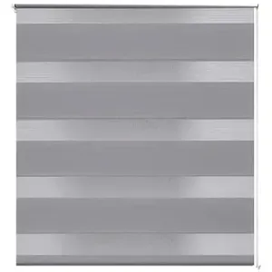 Roleta den a noc  Zebra  Twinroll 70x120 cm šedá