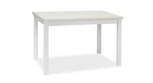 Signal Jídelní stůl ADAM | 100 x 60 cm Barva: bílý mat #3721284