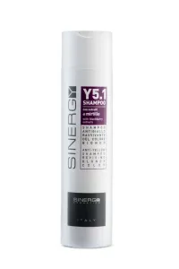 Sinergy Cosmetics Sinergy Y5.1 Anti-Yellow Revitalizing Shampoo 250ml - Šampon na žluté pigmenty