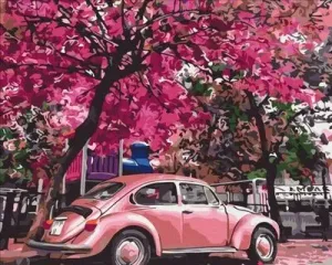 Symag Obraz Malování podle čísel - Jarní parkování