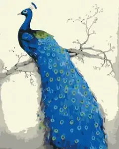Symag Obraz Malování podle čísel - Modrý páv