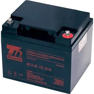 T6 Power NP12-45, 12 V, 45 Ah #5302992