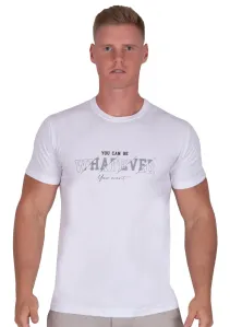 Pánské jednobarevné tričko s krátkým rukávem TDS Barva/Velikost: bílá / XXL/3XL