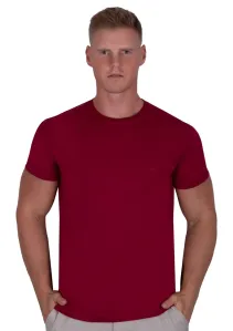 Pánské jednobarevné tričko s krátkým rukávem TDS Barva/Velikost: bordo (vínová) / L/XL