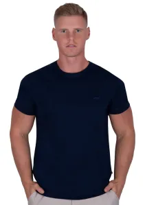 Pánské jednobarevné tričko s krátkým rukávem TDS Barva/Velikost: granát (modrá) / 3XL/4XL #6140227