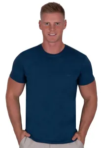 Pánské jednobarevné tričko s krátkým rukávem TDS Barva/Velikost: jeans / 3XL/4XL #6140229