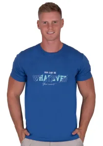 Pánské jednobarevné tričko s krátkým rukávem TDS Barva/Velikost: modrá / M/L #5524386