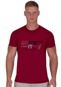Pánské jednobarevné tričko vzor 329 TDS Barva/Velikost: bordo (vínová) / XL/XXL
