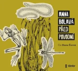 Před povodní - Anna Bolavá, Dana Černá - audiokniha