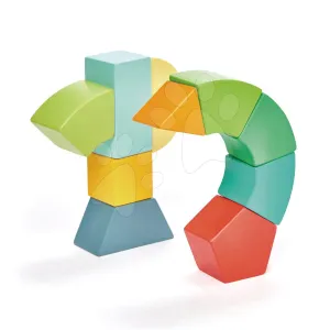 Dřevěná magnetická stavebnice Primary Magblocs Tender Leaf Toys 10 přírodních geometrických kostek v sáčku
