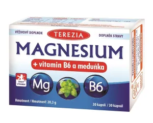 Terezia Company Magnesium + vitamin B6 a meduňka 30 kapslí