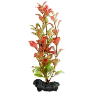 Rostlina Tetra Red Ludwigia S 15cm