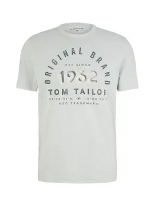 Tom Tailor Pánské triko Regular Fit 1035549.30869 M