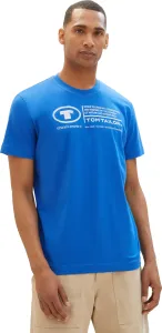 Tom Tailor Pánské triko Regular Fit 1035611.12393 XXL