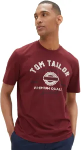 Tom Tailor Pánské triko Regular Fit 1037735.10574 M