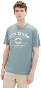 Tom Tailor Pánské triko Regular Fit 1037735.27475 XXL