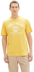 Tom Tailor Pánské triko Regular Fit 1037735.34663 M