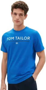 Tom Tailor Pánské triko Regular Fit 1040988.12393 XXL