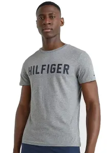 Tommy Hilfiger Pánské triko Regular Fit UM0UM02011-PG5 M
