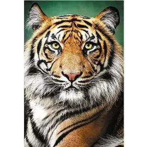 Trefl Puzzle Tygří portrét 1500 dílků