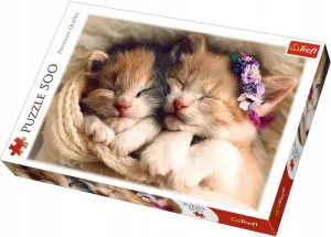Trefl Spící koťata 48 x 34 cm v krabici 40 x 26,5 x 4,5 cm 500 dílků