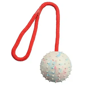 Hračka pro psy míč na laně Trixie 7cm*30cm
