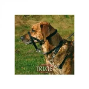 Výcvik psa Trixie
