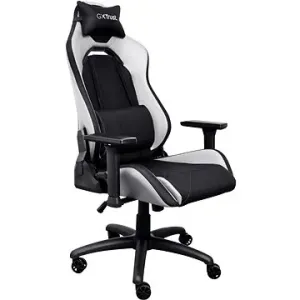 Trust GXT714W RUYA ECO Gaming chair, bílá