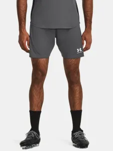 Under Armour Kraťasy Šedá