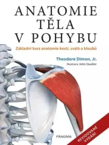 Anatomie těla v pohybu - Základní kurz anatomie kostí, svalů a kloubů - Theodore Dimon Jr