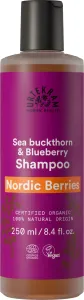 Urtekram Šampon Nordic Berries na poškozené vlasy BIO 250 ml