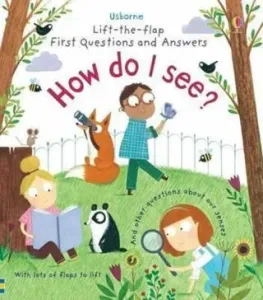 First Questions and Answers: How do I see? (Daynes Katie)(Board book)