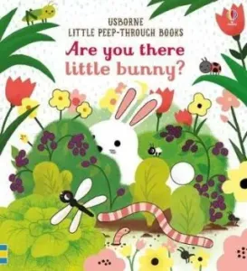Are you there little Bunny (Taplin Sam)(Board book)