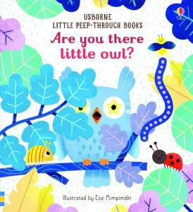 Are you there little Owl? (Taplin Sam)(Board book)