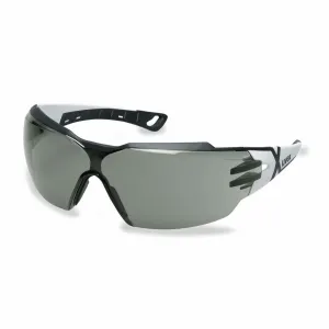 Uvex ochranné brýle pheos cx2 9198 Uvex 9198237
