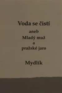 Voda se čistí aneb Mladý muž a pražské jaro - Miroslav Krůta